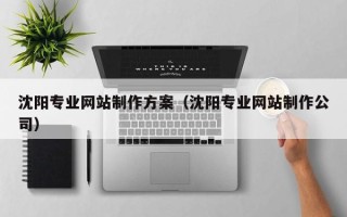 钦州沈阳专业网站制作方案（沈阳专业网站制作公司）